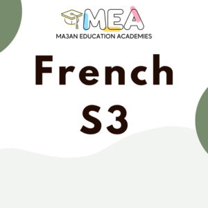 French S3
