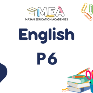 English P6